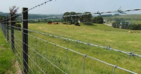 wire-agriculture-fencing